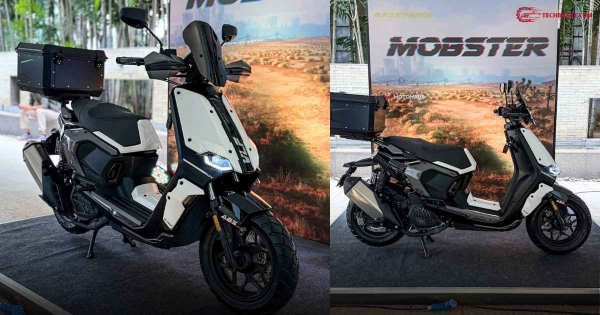 VLF Mobster